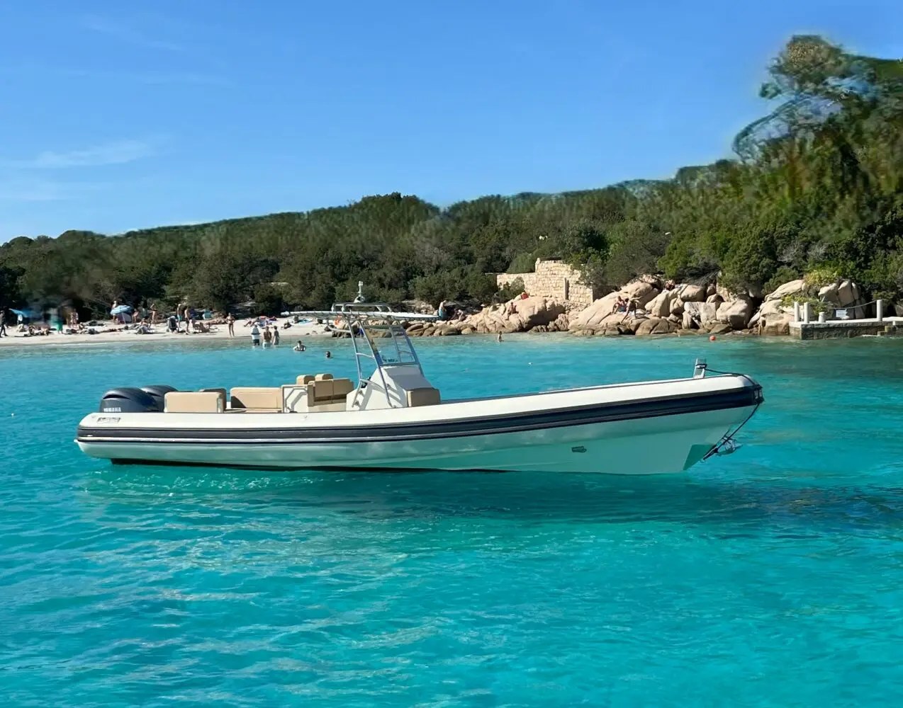 Sea Water Phantom 300